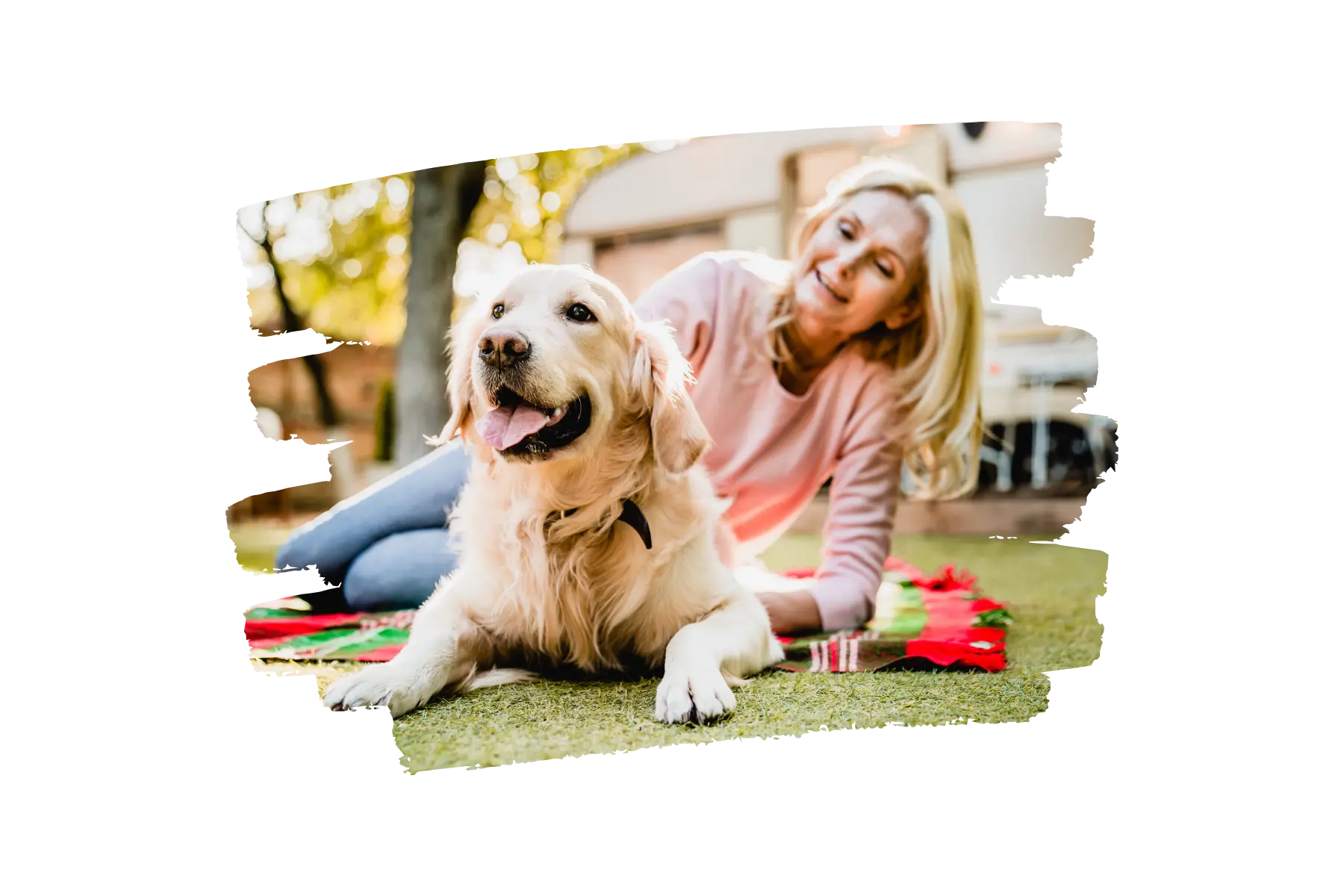 Happy dog relaxing on a clean lawn with owner after professional pet waste removal service in San Diego